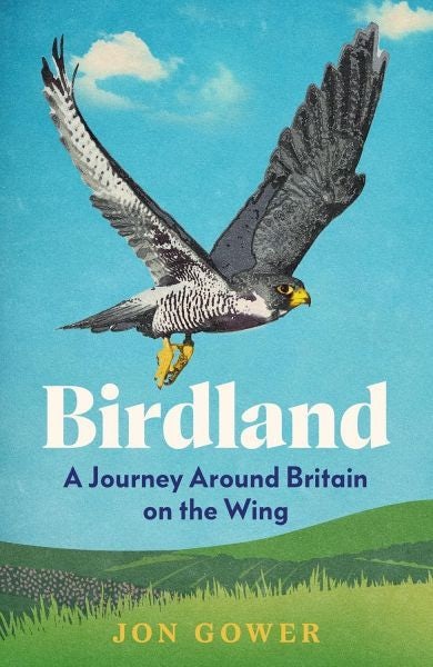Cover image for Birdland - A Journey Around Britain on the Wing, isbn: 9780008688219