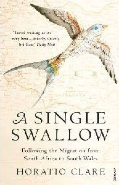 Cover image for Single Swallow, A - Following an Epic Journey from South Africa to South Wales, isbn: 9780099526315