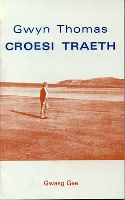 Cover image for Croesi Traeth, isbn: 9780707402444