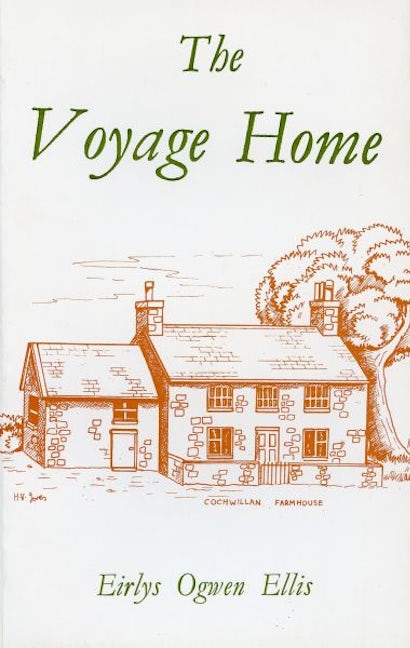 Cover image for The Voyage Home, isbn: 9780707402574