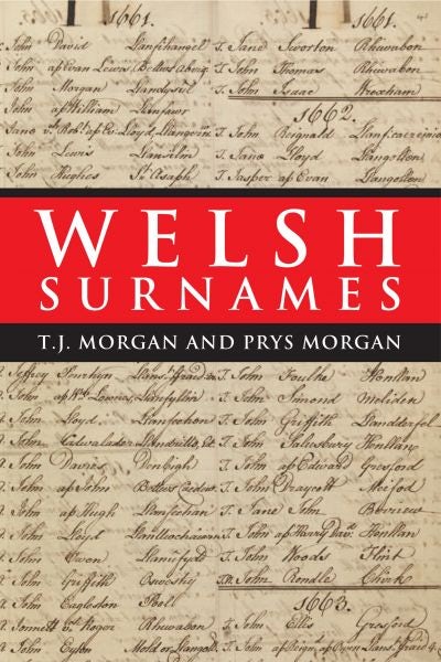 Cover image for Welsh Surnames, isbn: 9780708309360