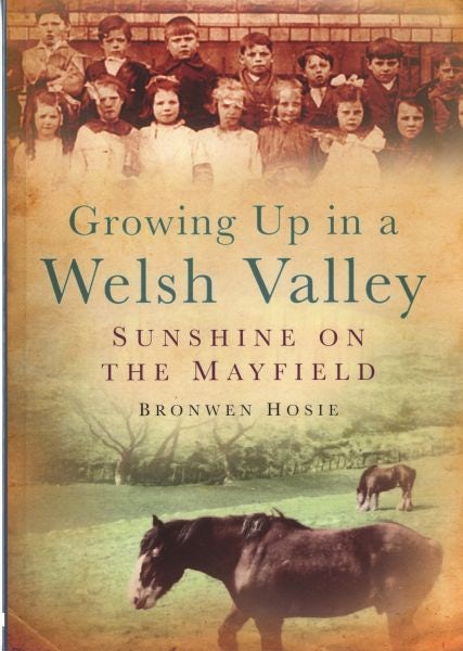 Cover image for Growing up in a Welsh Valley - Sunshine on the Mayfield, isbn: 9780752447568
