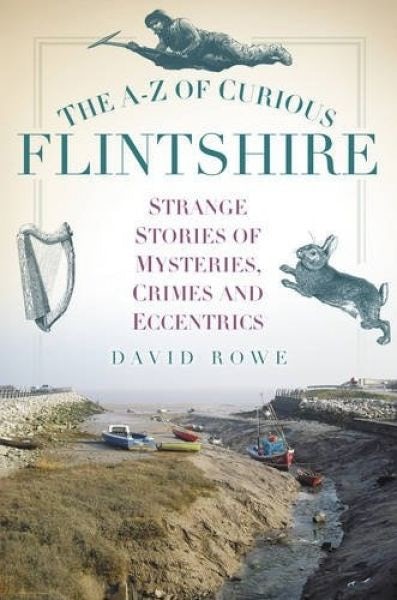 Cover image for The A-Z of Curious Flintshire, isbn: 9780752493282