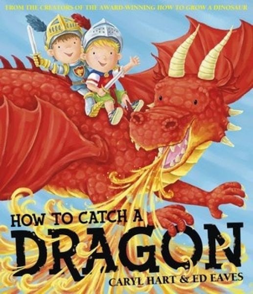 Cover image for How to Catch a Dragon, isbn: 9780857079596