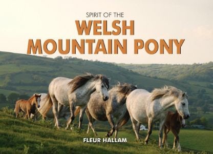 Cover image for Spirit of the Welsh Mountain Pony, isbn: 9780857100290