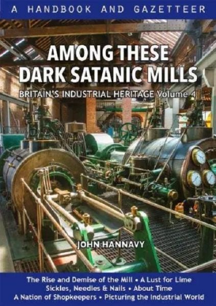Cover image for Among These Dark Satanic Mills: Britain's Industrial Heritage, isbn: 9780857101273