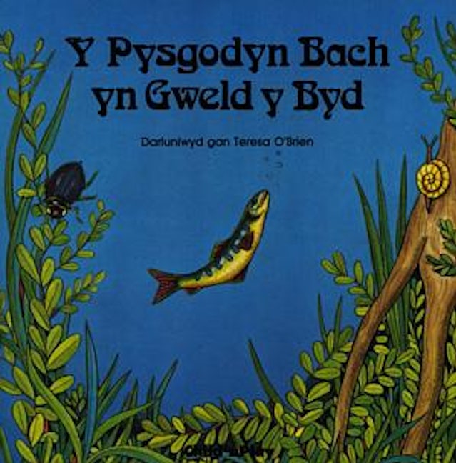 Cover image for Y Pysgodyn Bach yn Gweld y Byd, isbn: 9780859534802