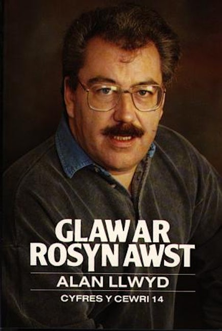 Cover image for Cyfres y Cewri: 14. Glaw ar Rosyn Awst, isbn: 9780860741107