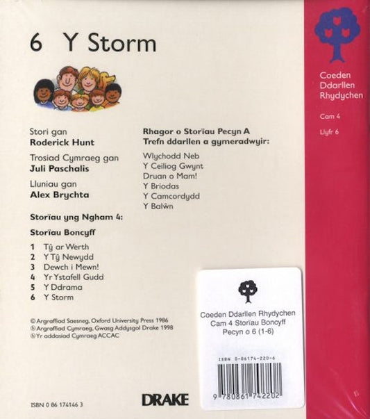 Cover image for Coeden Ddarllen Rhydychen: Cam 4 - Storiau Boncyff (Pecyn), isbn: 9780861742202