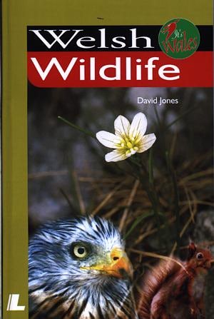 Cover image for It's Wales: Welsh Wildlife, isbn: 9780862436544