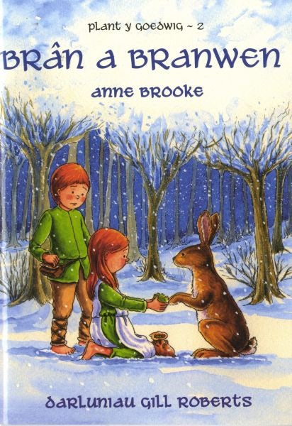 Cover image for Cyfres Plant y Goedwig: 2. Brân a Branwen, isbn: 9780862439057