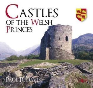 Cover image for Castles of the Welsh Princes, isbn: 9780862439705