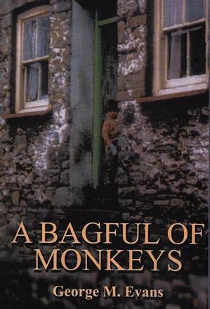 Cover image for A Bagful of Monkeys, isbn: 9780863818912
