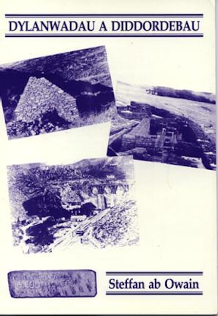 Cover image for Dylanwadau a Diddordebau, isbn: 9780904852950