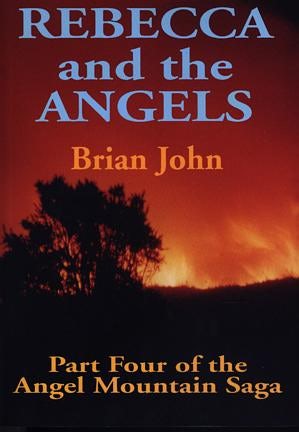 Cover image for Rebecca and the Angels, isbn: 9780905559834