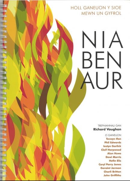 Cover image for Nia Ben Aur, isbn: 9780907551928