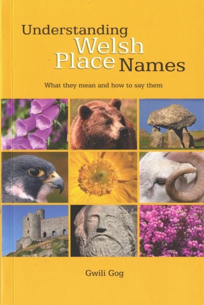 Cover image for Understanding Welsh Place Names - What They Mean and How to Say Them, isbn: 9780955355745
