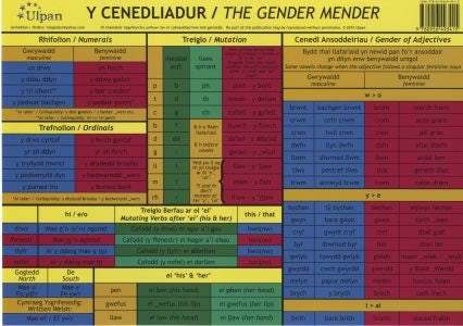 Cover image for Cenedliadur, Y/Gender Mender, isbn: 9780956493415