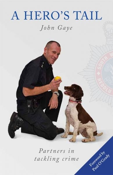 Cover image for A Hero's Tail, isbn: 9780992606404