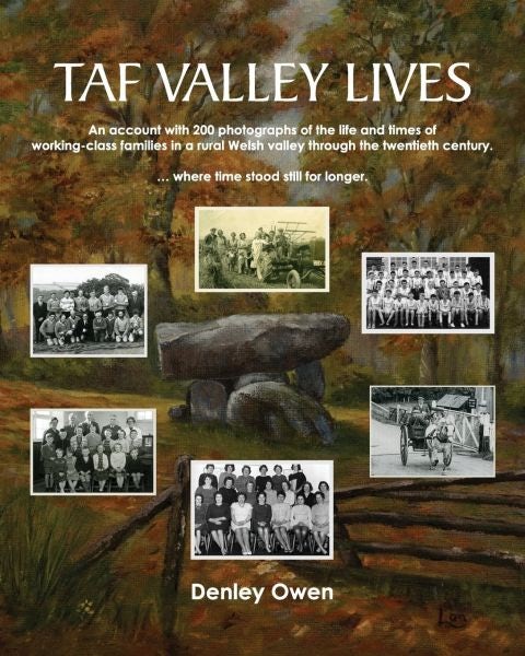 Cover image for Taf Valley Lives, isbn: 9780993229961