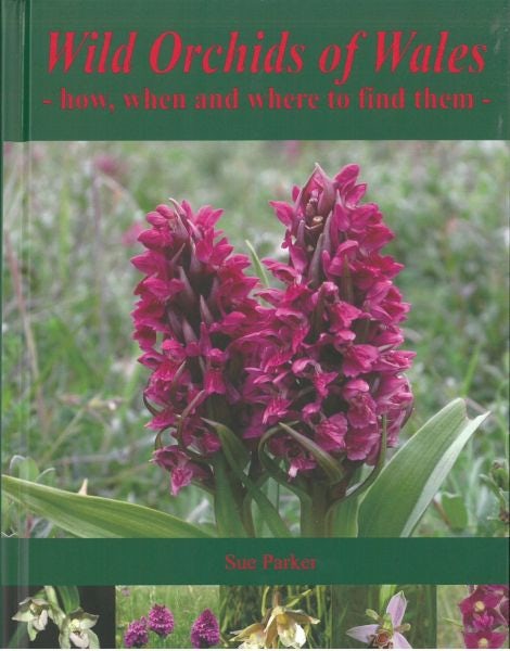 Cover image for Wild Orchids of Wales, isbn: 9780993450211