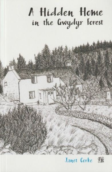 Cover image for A Hidden Home in the Gwydyr Forest, isbn: 9781068651403