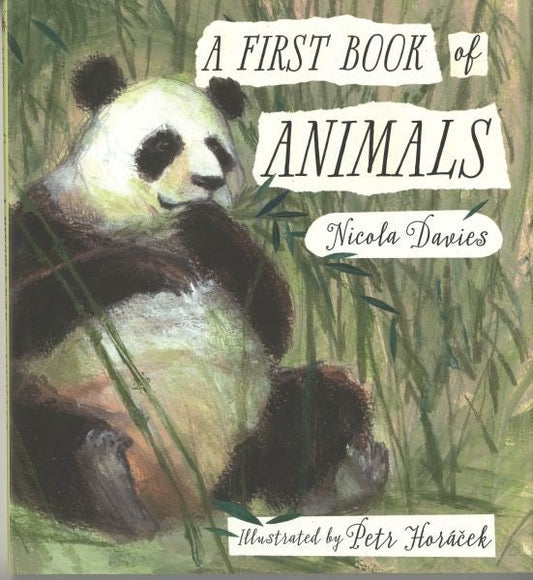 Cover image for A First Book of Animals, isbn: 9781406359633