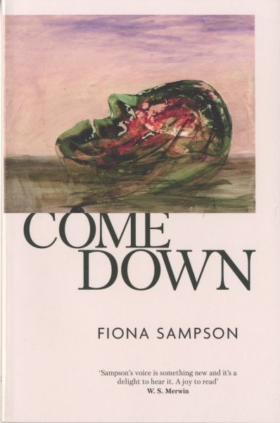 Cover image for Come Down, isbn: 9781472155160