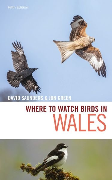 Cover image for Where to Watch Birds in Wales, isbn: 9781472979513