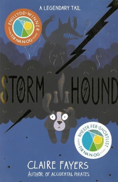 Cover image for Storm Hound, isbn: 9781509895045