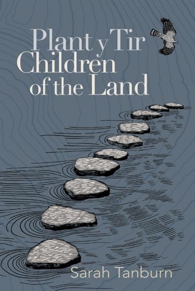 Cover image for Plant y Tir / Children of the Land, isbn: 9781739348809