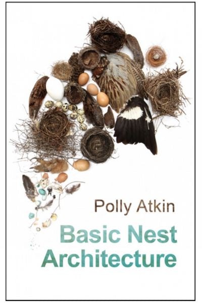 Cover image for Basic Nest Architecture, isbn: 9781781723739