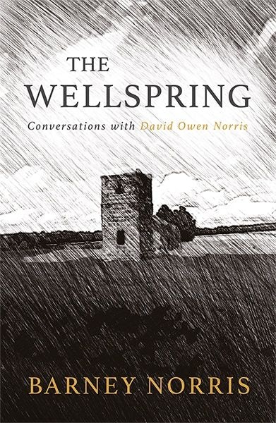 Cover image for Wellspring, The, isbn: 9781781724644
