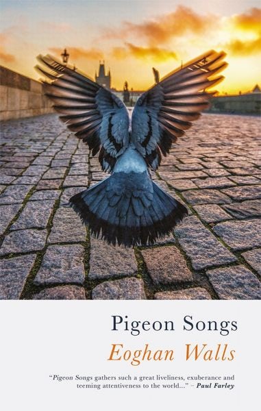Cover image for Pigeon Songs, isbn: 9781781724903