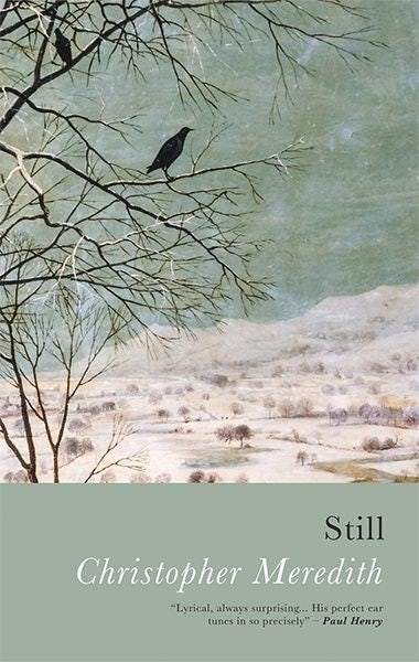 Cover image for Still, isbn: 9781781726143