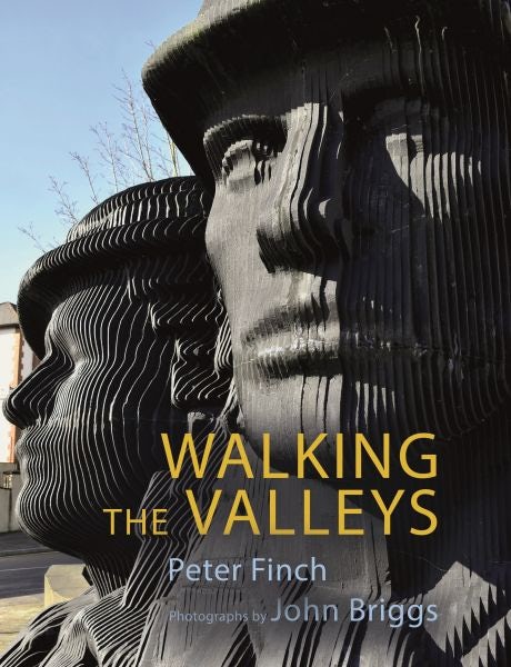 Cover image for Walking the Valleys, isbn: 9781781726860