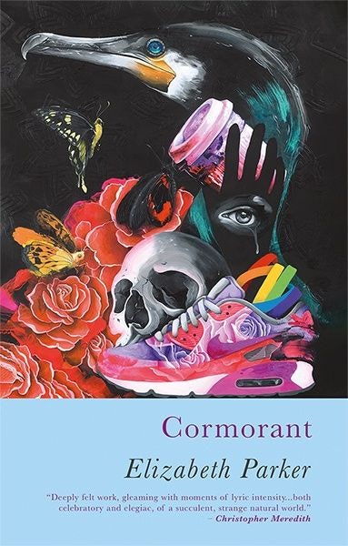 Cover image for Cormorant, isbn: 9781781727362
