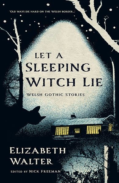 Cover image for Let a Sleeping Witch Lie, isbn: 9781781727799