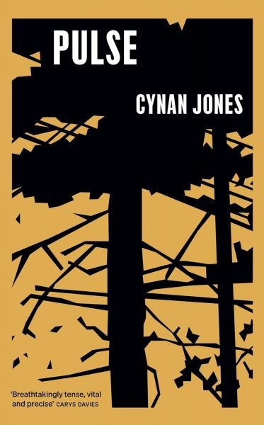 Cover image for Pulse, isbn: 9781783782772