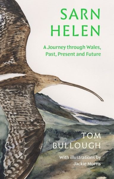 Cover image for Sarn Helen: A Journey Through Wales, Past, Present and Future, isbn: 9781783788118