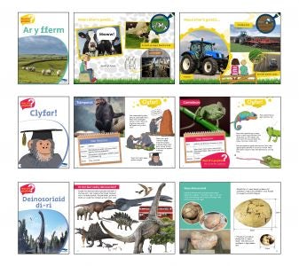 Cover image for Wyt Ti'n Gwybod - Pecyn 1, isbn: 9781783900879