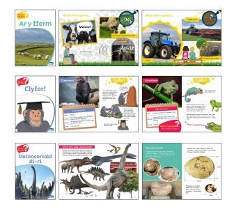 Cover image for Wyt Ti'n Gwybod - Pecyn 2, isbn: 9781783901067