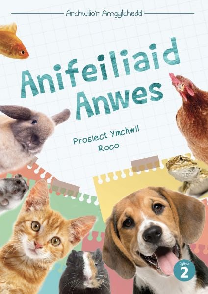 Cover image for Cyfres Archwilio'r Amgylchedd: Anifeiliaid Anwes, isbn: 9781783902460
