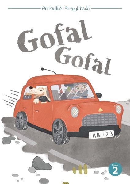 Cover image for Cyfres Archwilio'r Amgylchedd: Gofal Gofal, isbn: 9781783902583