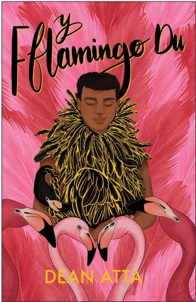 Cover image for Y Fflamingo Du, isbn: 9781783906000