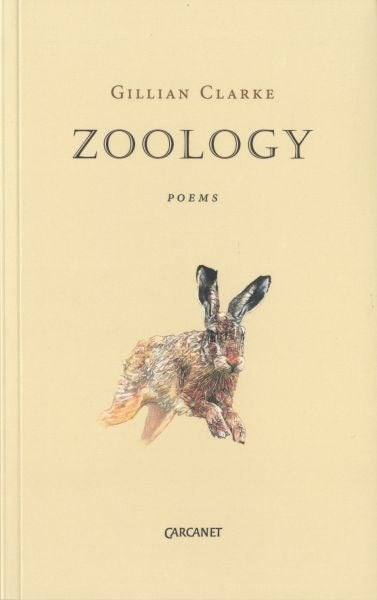 Cover image for Zoology, isbn: 9781784102166