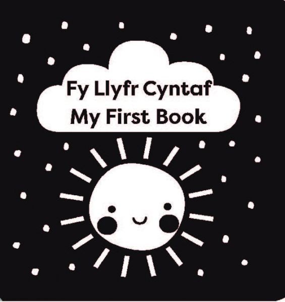 Cover image for Fy Llyfr Cyntaf / My First Book, isbn: 9781784232566