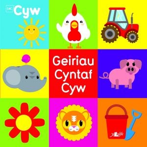 Cover image for Cyfres Cyw: Geiriau Cyntaf Cyw, isbn: 9781784610005