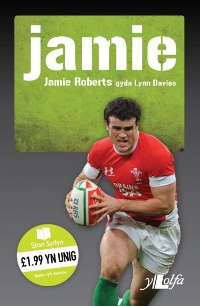 Cover image for Stori Sydyn: Jamie – Y Llew yn Ne Affrica, isbn: 9781784610326