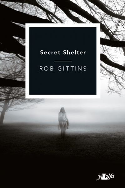 Cover image for Secret Shelter, isbn: 9781784610739